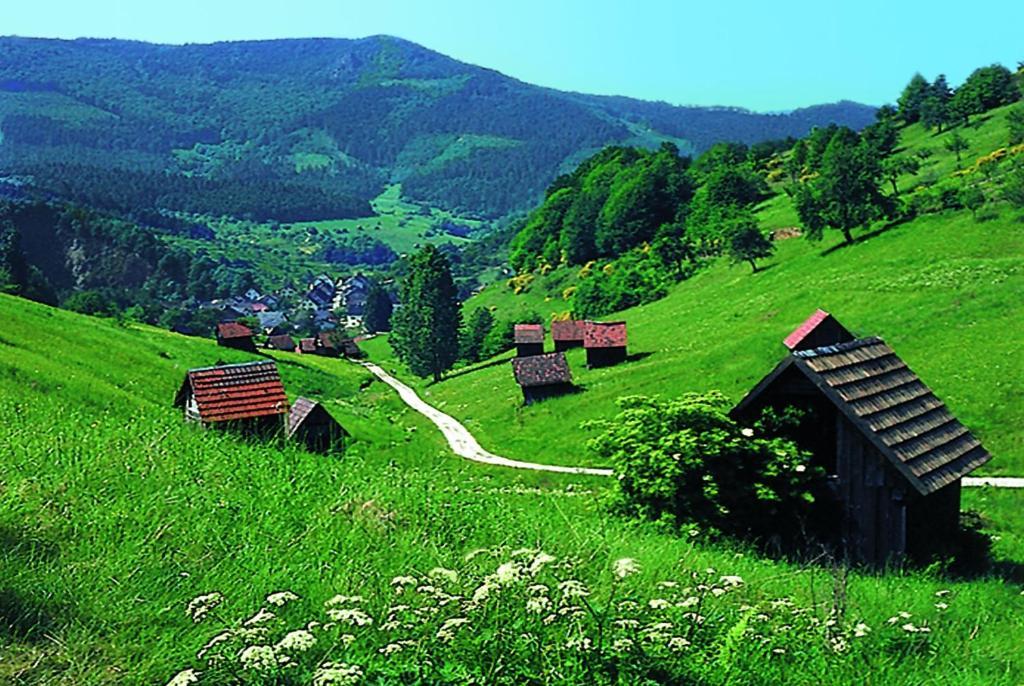 Hotel Schwanen ฟรอยเดนชตัดท์ ภายนอก รูปภาพ